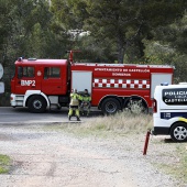Romería de les Canyes