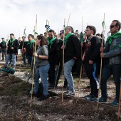 Romería de les Canyes