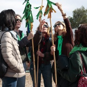 Romería de les Canyes