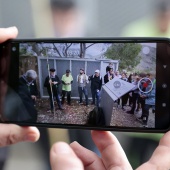 Romería de les Canyes