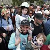 Romería de les Canyes