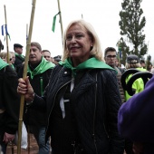 Romería de les Canyes