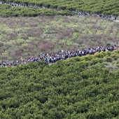 Romería de les Canyes