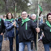 Romería de les Canyes