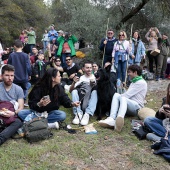 Romería de les Canyes