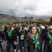 Romería de les Canyes