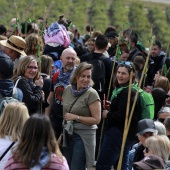 Romería de les Canyes