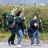 Romería de les Canyes