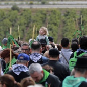 Romería de les Canyes