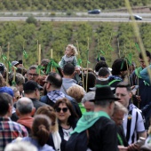 Romería de les Canyes
