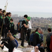 Romería de les Canyes