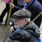 Romería de les Canyes