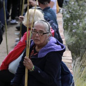 Romería de les Canyes