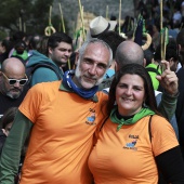 Romería de les Canyes