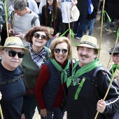 Romería de les Canyes