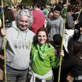 Romería de les Canyes