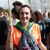 Romería de les Canyes