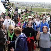 Romería de les Canyes