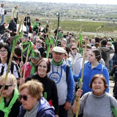 Romería de les Canyes
