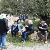 Romería de les Canyes