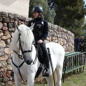 Romería de les Canyes