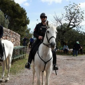 Romería de les Canyes