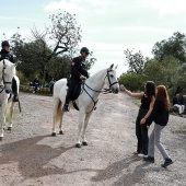 Romería de les Canyes