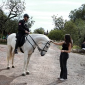 Romería de les Canyes