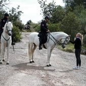 Romería de les Canyes