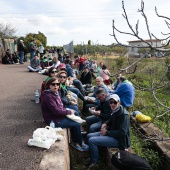 Romería de les Canyes