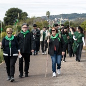 Romería de les Canyes