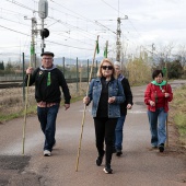 Romería de les Canyes
