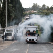 Romería de les Canyes
