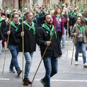 Romería de les Canyes