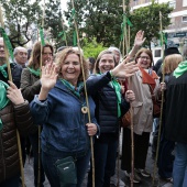 Romería de les Canyes
