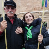 Romería de les Canyes