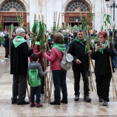 Romería de les Canyes