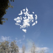 XXX Concurso de mascletaes