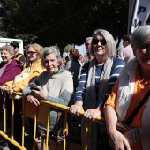 XXX Concurso de mascletaes