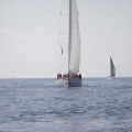 Castellón, Regata Columbretes