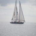 Castellón, Regata Columbretes