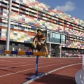 Castellón, Atletismo 2011