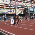 Castellón, Atletismo 2011