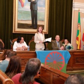 Día Internacional del Pueblo Gitano