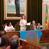 Día Internacional del Pueblo Gitano