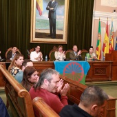 Día Internacional del Pueblo Gitano