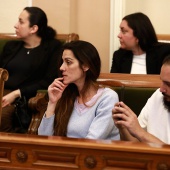 Día Internacional del Pueblo Gitano