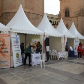 II Semana de la Salud