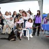 Festival de la Adopción