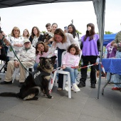 Festival de la Adopción